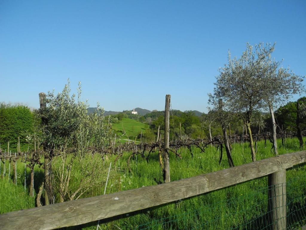 Agriturismo Cornolere Villa Castelcucco Exteriör bild